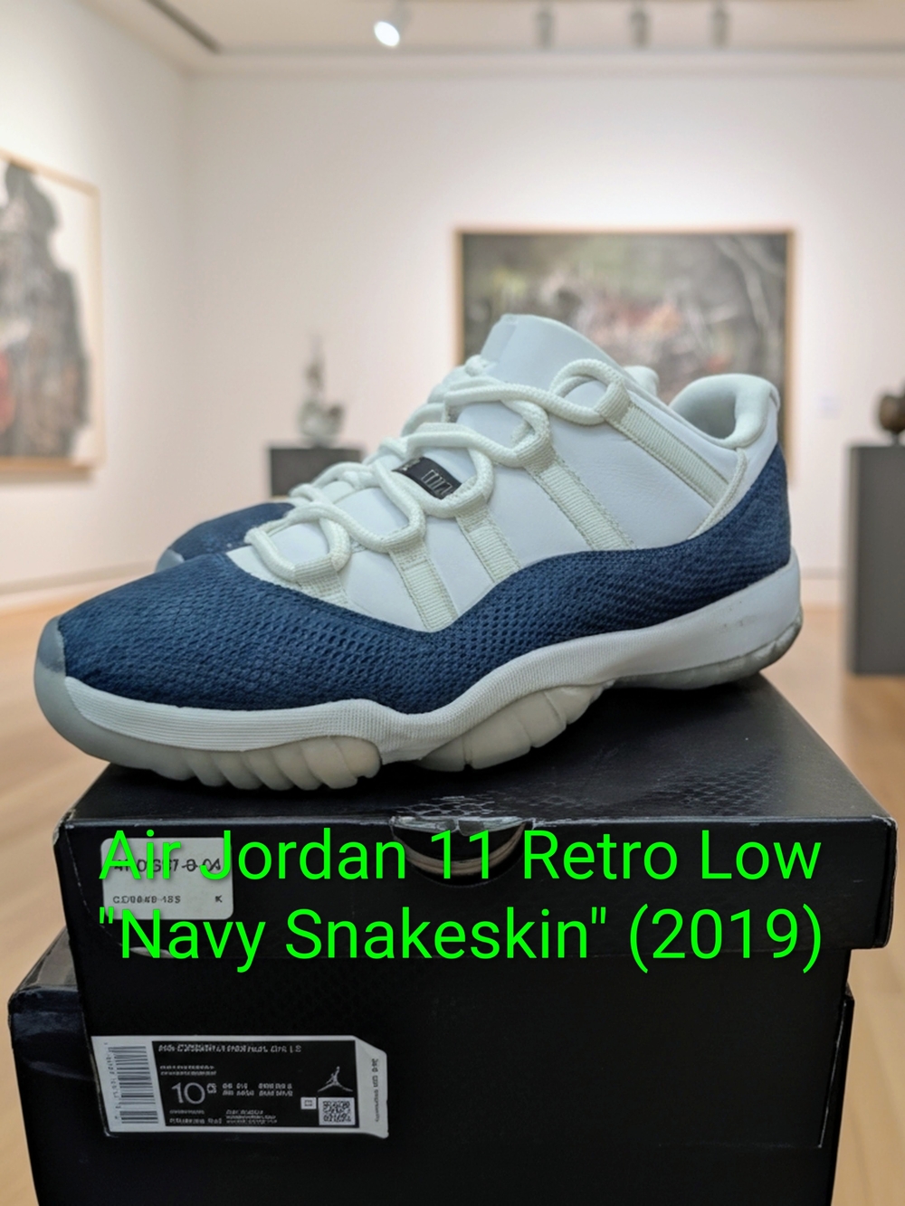 Air Jordan 11 Retro Low "Navy Snakeskin" (2019) Sz M10.5/W12 EUC W/OG Box